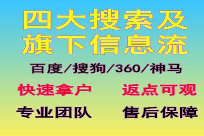 解析SEM竞价代运营的成功要素及案例